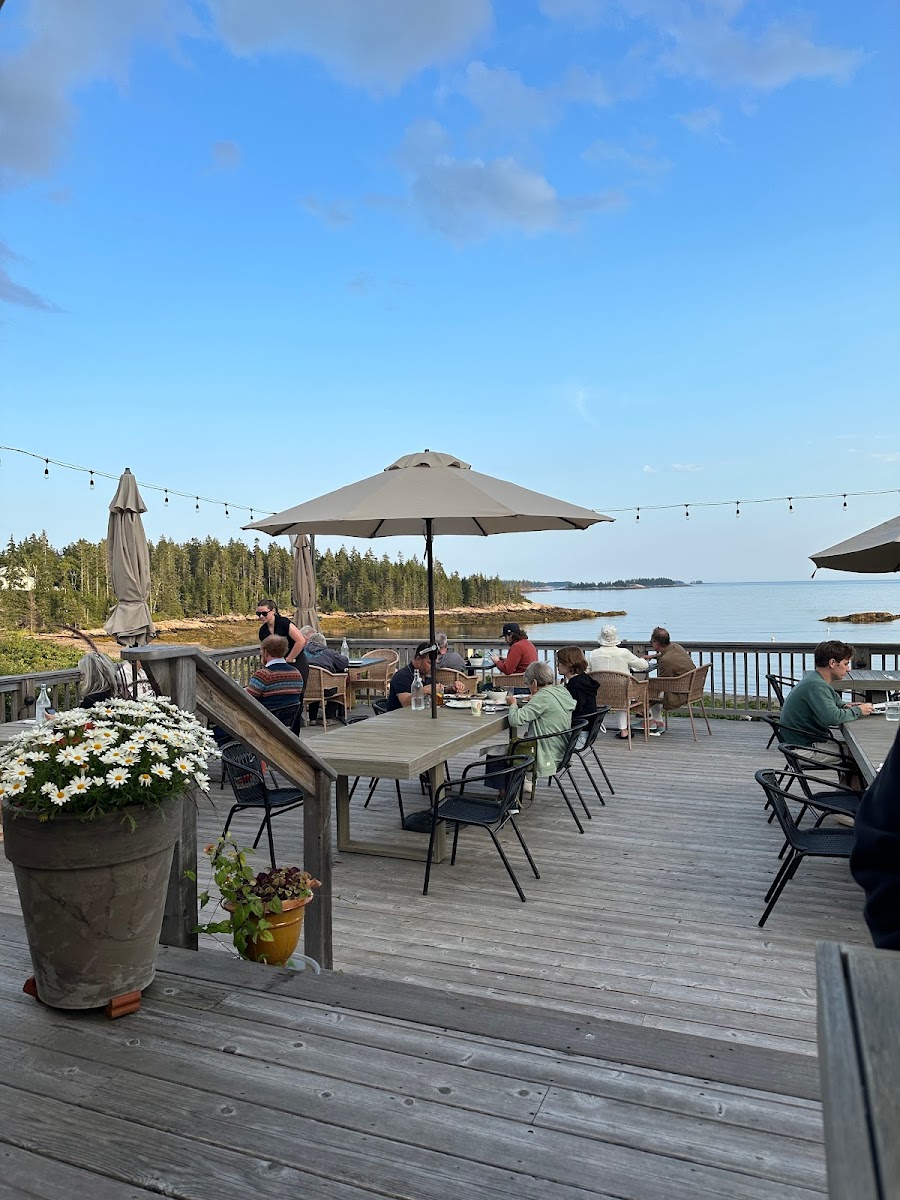 Aragosta Deer Isle
